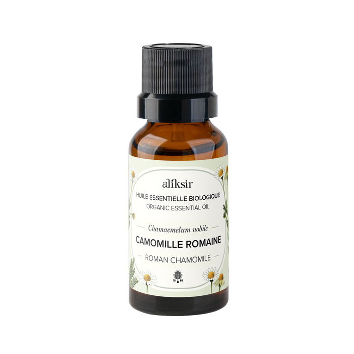 Camomille romaine (Chamaemelum nobile) - Huile essentielle bio