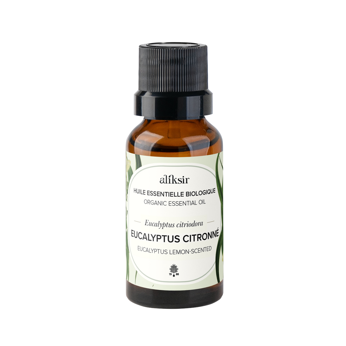 Eucalyptus Lemon-scented Gum (Eucalyptus citriodora) - Organic Essential Oil