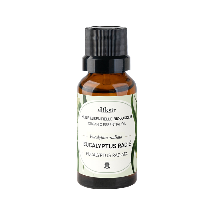 Eucalyptus radié (Eucalyptus radiata) - Huile essentielle bio