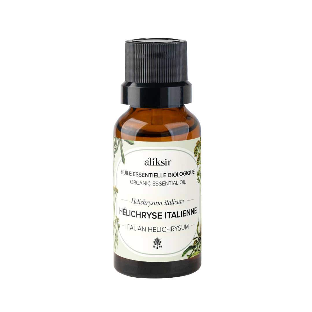 Hélichryse italienne (Helichrysum italicum) - Huile essentielle bio