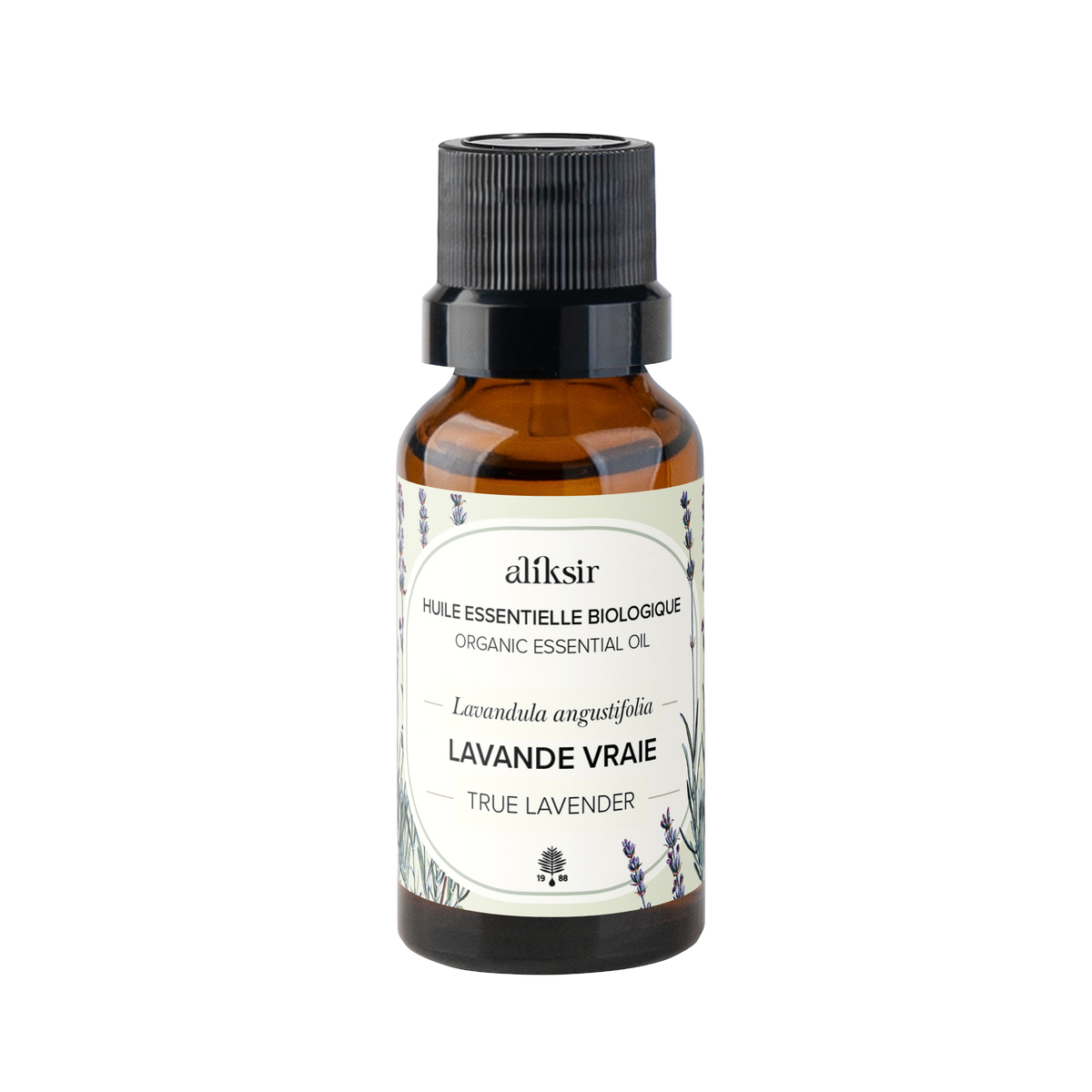 Lavande vrai (Lavandula angustifolia) - Huile essentielle bio