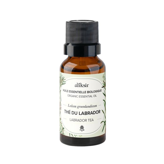 Thé du Labrador (Ledum groenlandicum) - Huile essentielle bio