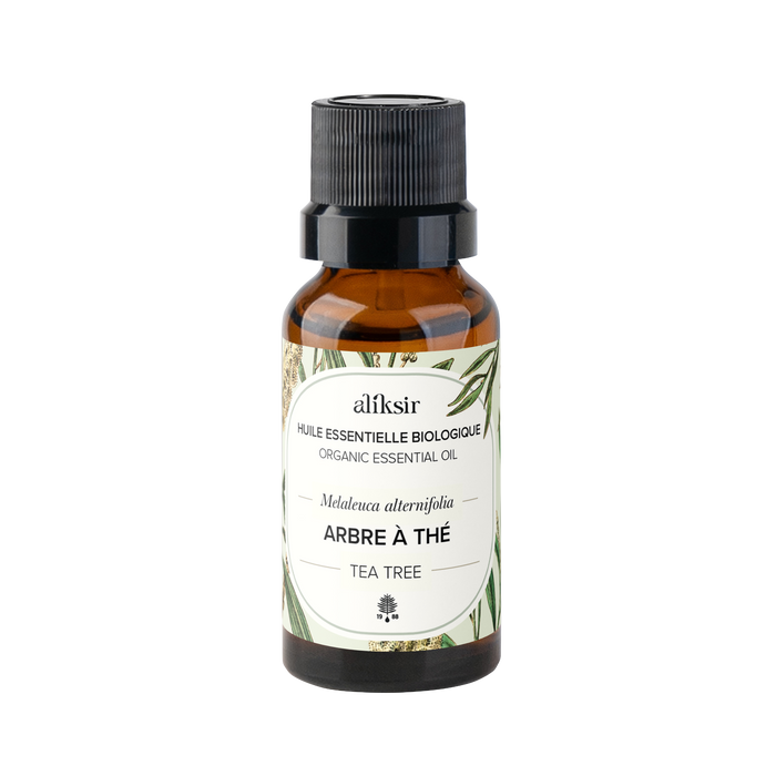 Mélaleuque à feuilles alternes (Melaleuca alternifolia) - Huile essentielle bio