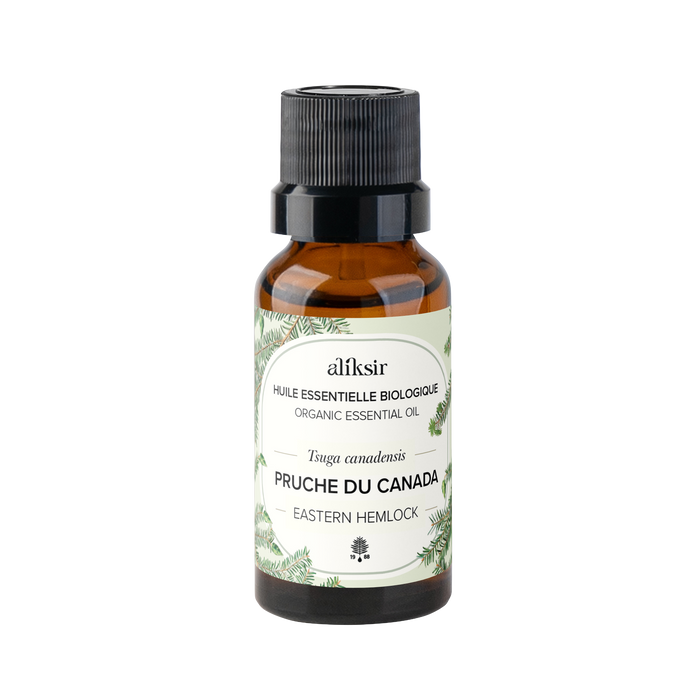 Eastern Hemlock (Tsuga canadensis) - Organic Essential Oil