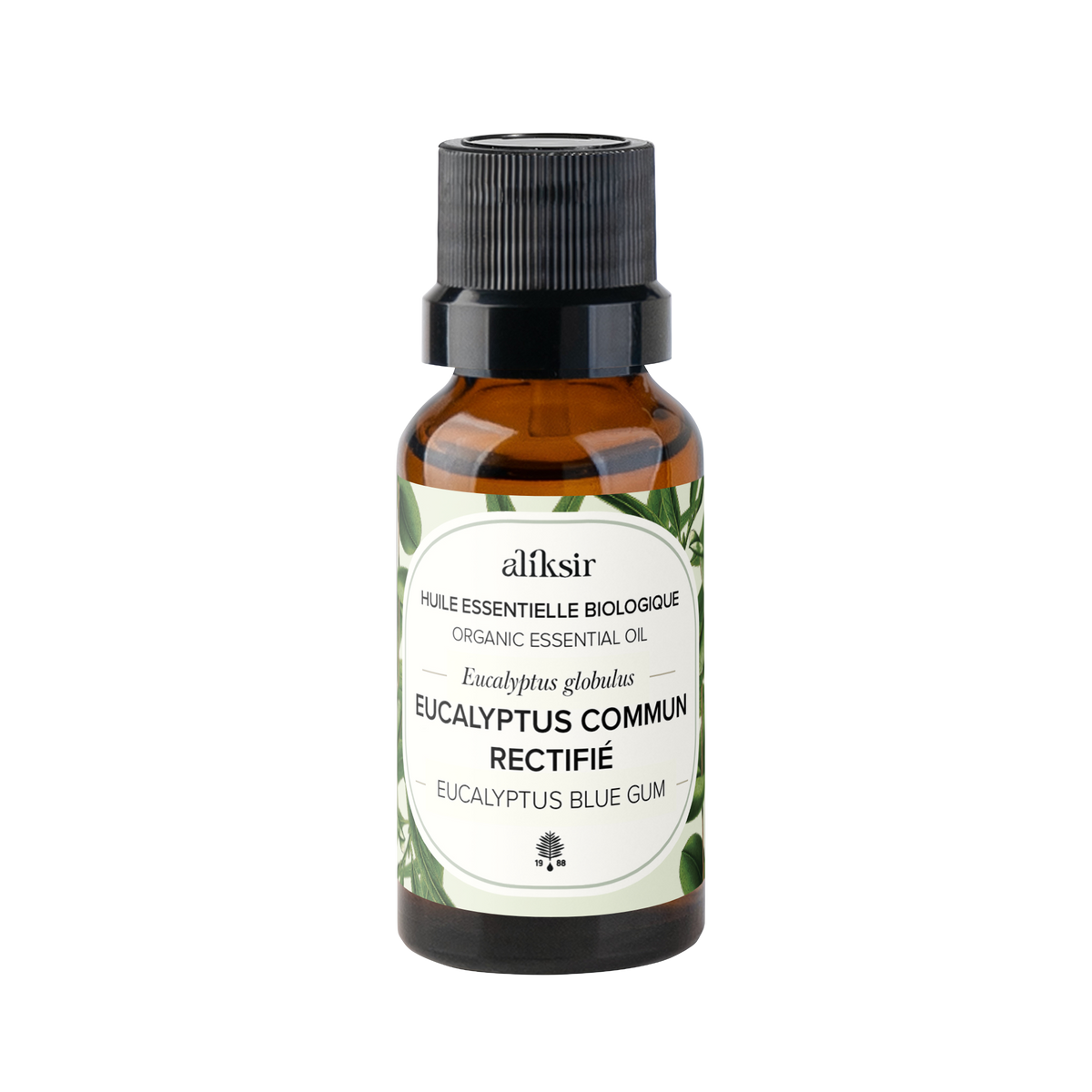 Eucalyptus Blue Gum Rectified (Eucalyptus globulus) - Organic Essential Oil