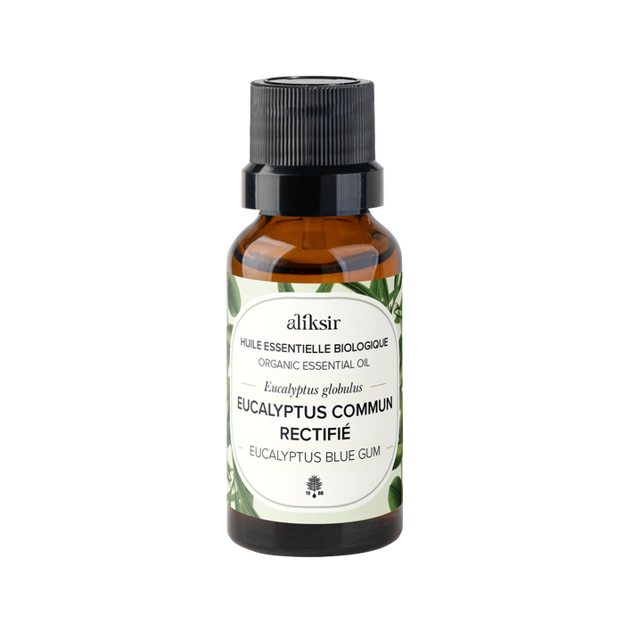 Eucalyptus commun rectifié (Eucalyptus globulus) - Huile essentielle bio