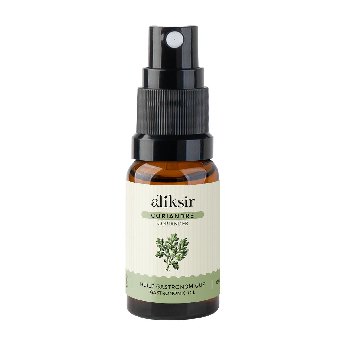 Coriander leaf (Coriandrum sativum) - Organic Gourmet Oli