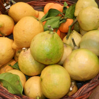Bergamote zeste distillé (Citrus bergamia) - Huile essentielle bio