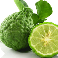 Bergamote zeste (Citrus bergamia) - Huile essentielle bio