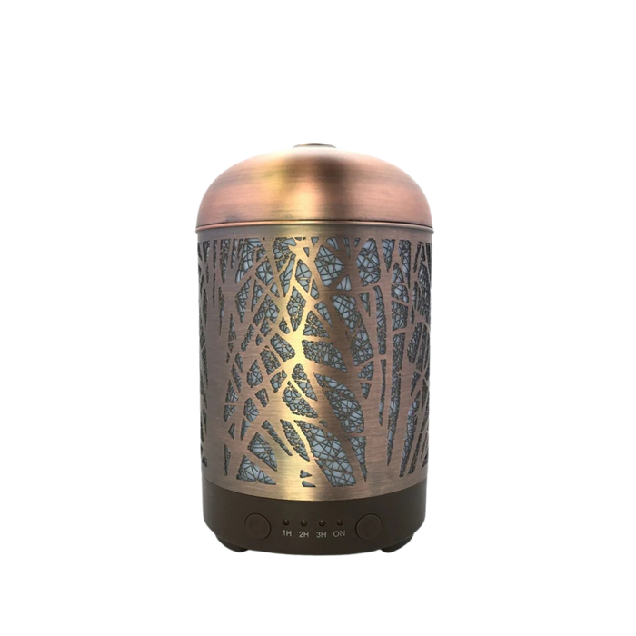 Forestier, nébulisateur ultrasonique, fer teint