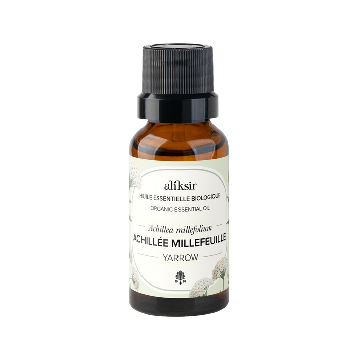 Achillée millefeuille (Achillea millefolium) - Huile essentielle bio