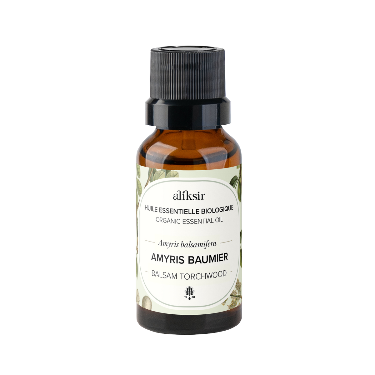 Amyris baumier (Amyris balsamifera) - Huile essentielle