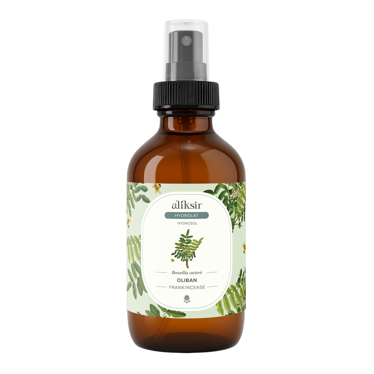 Frankincense (Boswellia carterii) - Hydrosol
