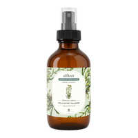 Hélichryse italienne (Helichrysum italicum) - Hydrolat bio