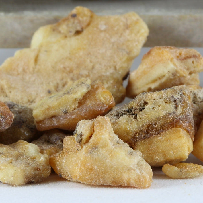 Benzoin (Styrax benzoe) - Organic oleoresin