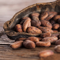 Cacao (Theobroma cacao) - Beurre végétal bio