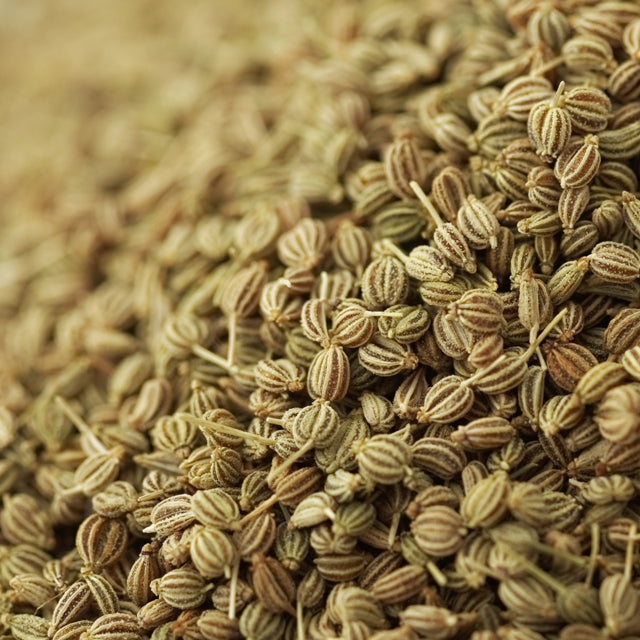 Ajowan (Trachyspermum ammi) - Huile essentielle bio