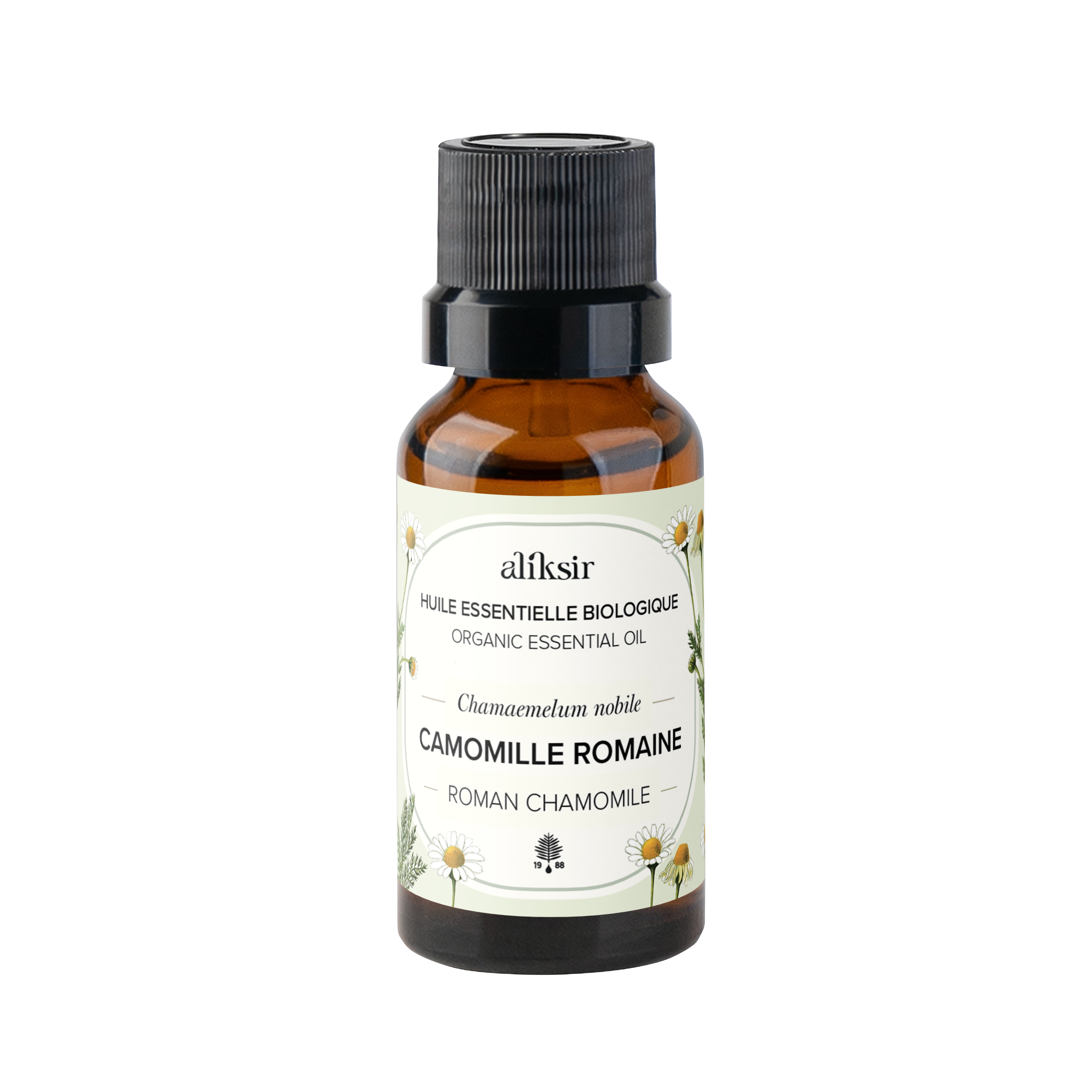 Roman Chamomile (Chamaemelum nobile) - Organic Essential Oil