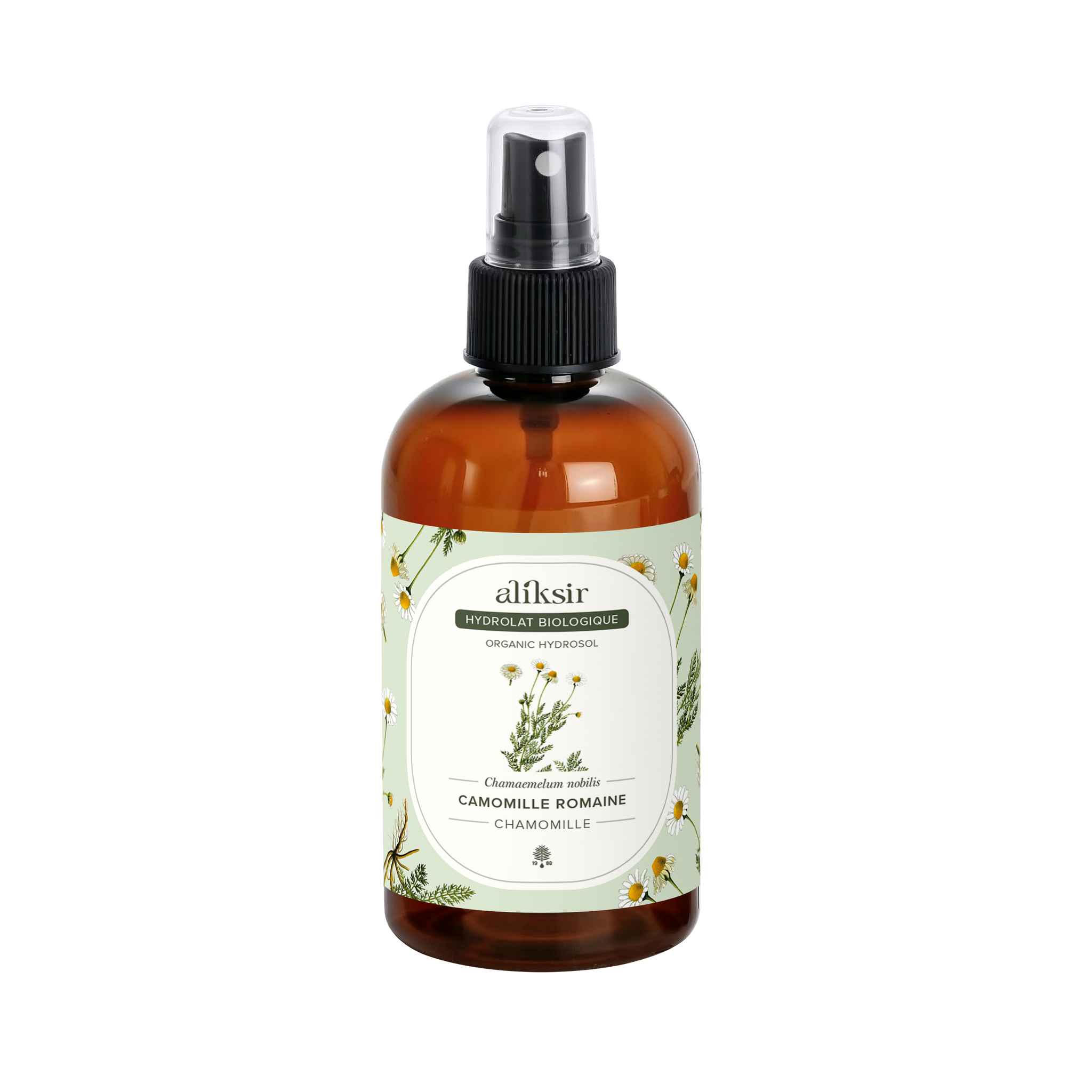 Roman chamomile (Chamaemelum nobile) - Organic hydrosol 