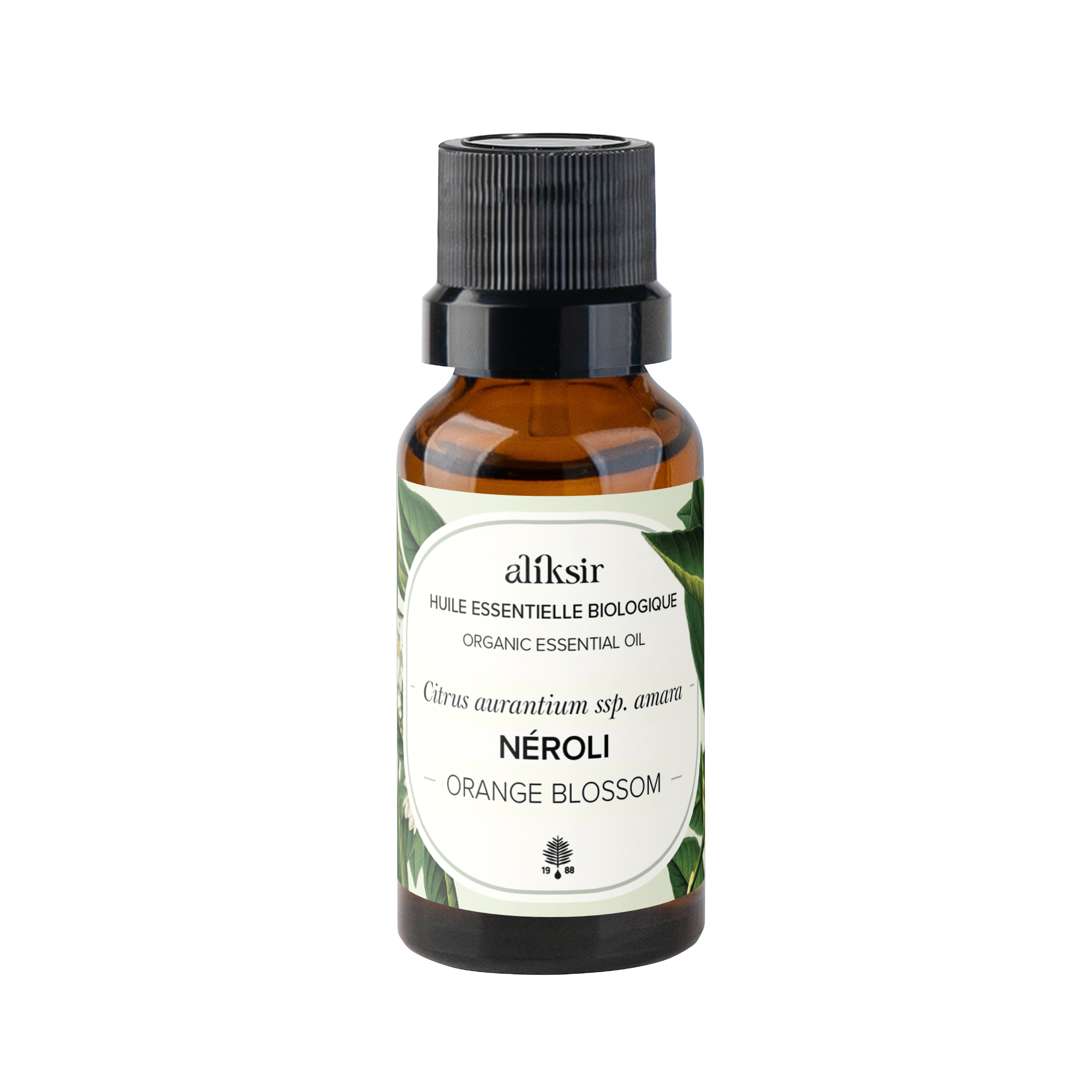 Neroli (Citrus aurantium ssp. amara) - Organic Essential Oil 