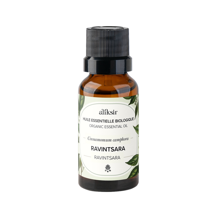 Ravintsara ct. 1,8-Cineole (Cinnamomum camphora) - Organic essential oil