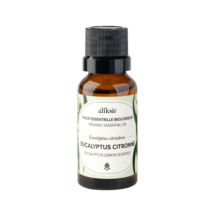 Eucalyptus Lemon-scented Gum (Eucalyptus citriodora) - Organic Essential Oil