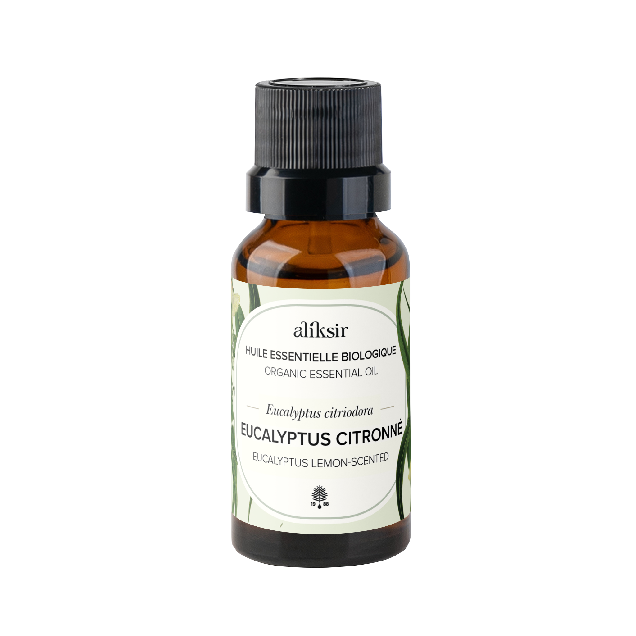 Eucalyptus citronné (Eucalyptus citriodora) - Huile essentielle bio