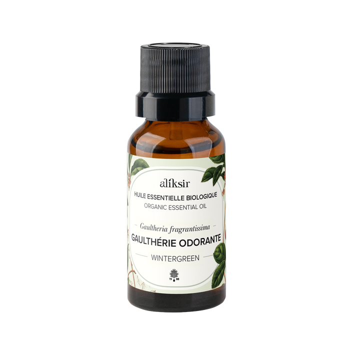 Wintergreen (Gaultheria fragrantissima) - Organic Essential Oil