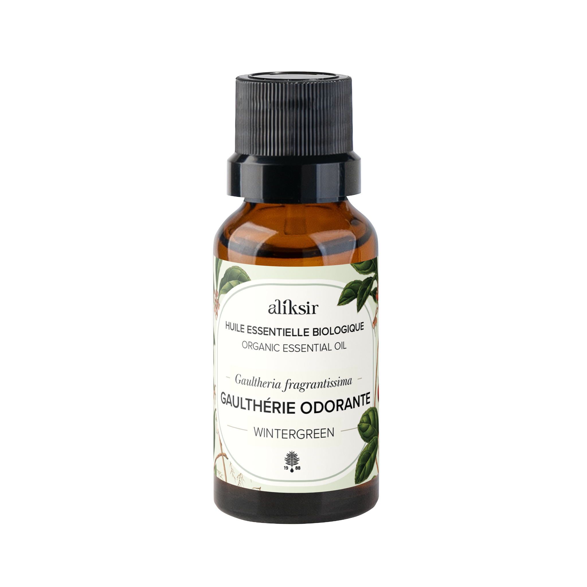 Gaulthérie odorante (Gaultheria fragrantissima) - Huile essentielle bio