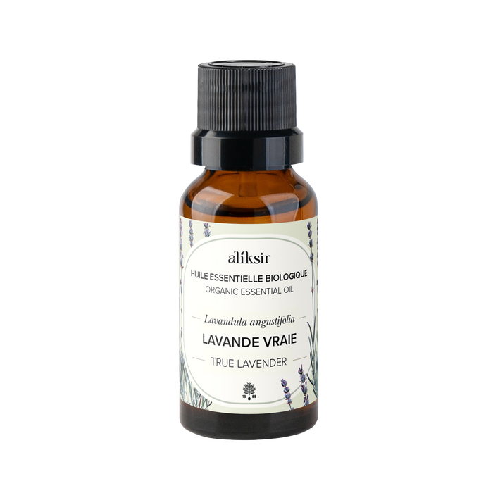 Lavande vrai (Lavandula angustifolia) - Huile essentielle bio