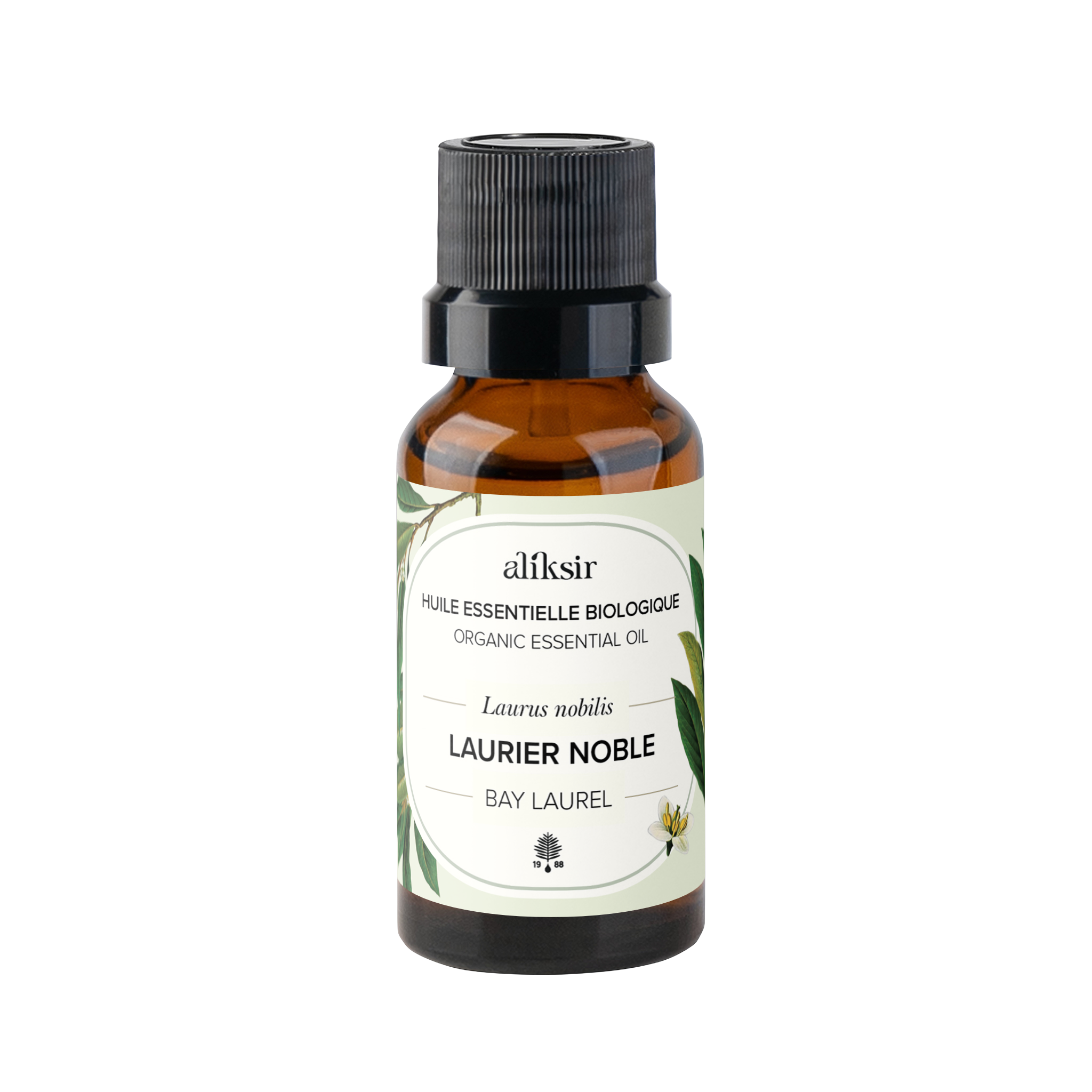 Bay Laurel (Laurus nobilis) - Organic Essential Oil – Aliksir Huiles ...