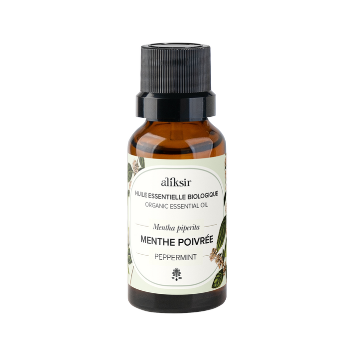 Peppermint (Mentha piperita) - Organic Essential Oil