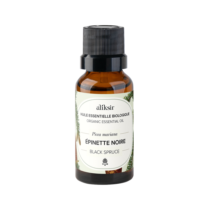 Black Spruce (Picea mariana) - Organic Essential Oil