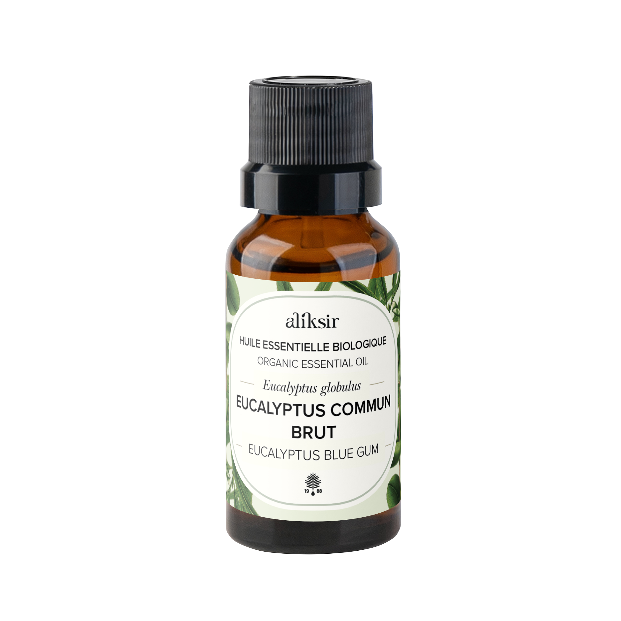 Eucalyptus commun brut (Eucalyptus globulus) - Huile essentielle bio