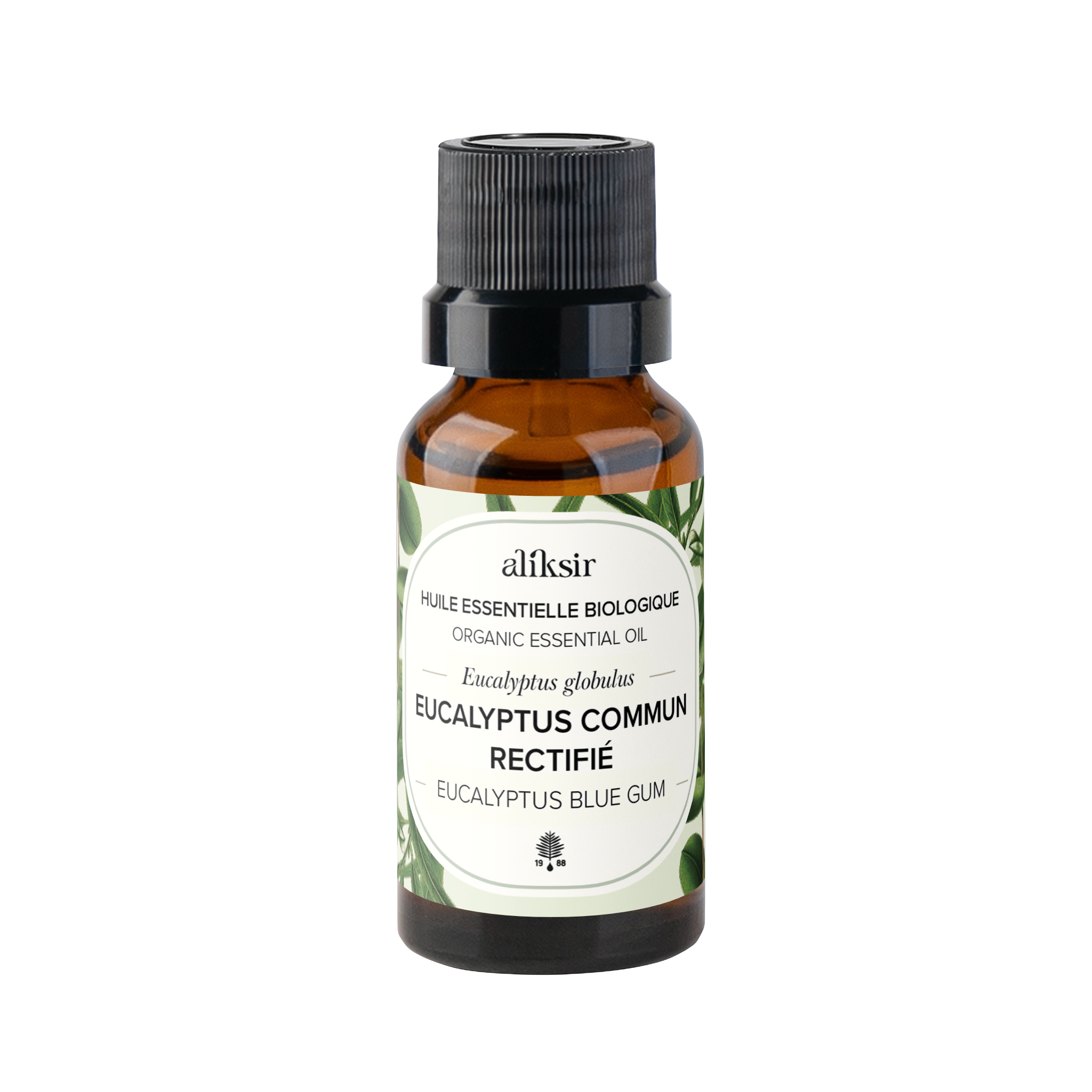 Eucalyptus commun rectifié (Eucalyptus globulus) - Huile essentielle bio