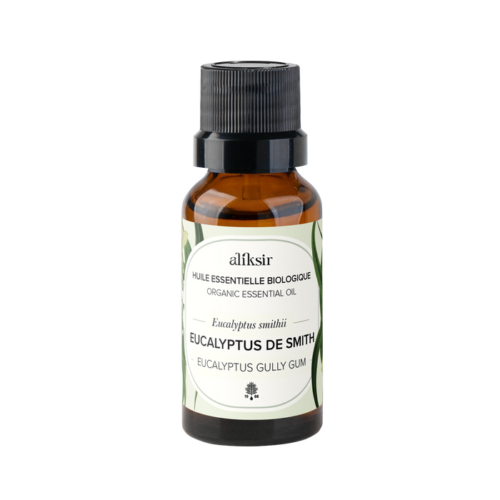 Eucalyptus Gully Gum (Eucalyptus smithii) Organic Essential Oil