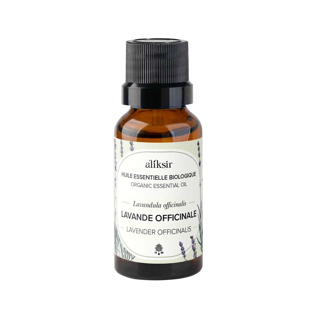 Lavande officinale (Lavandula officinalis) - Huile essentielle bio