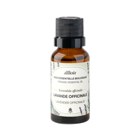 Lavande officinale (Lavandula officinalis) - Huile essentielle bio