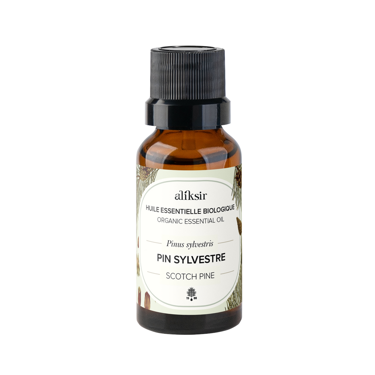 Scotch Pine (Pinus sylvestris) Quebec - Organic Essential Oil