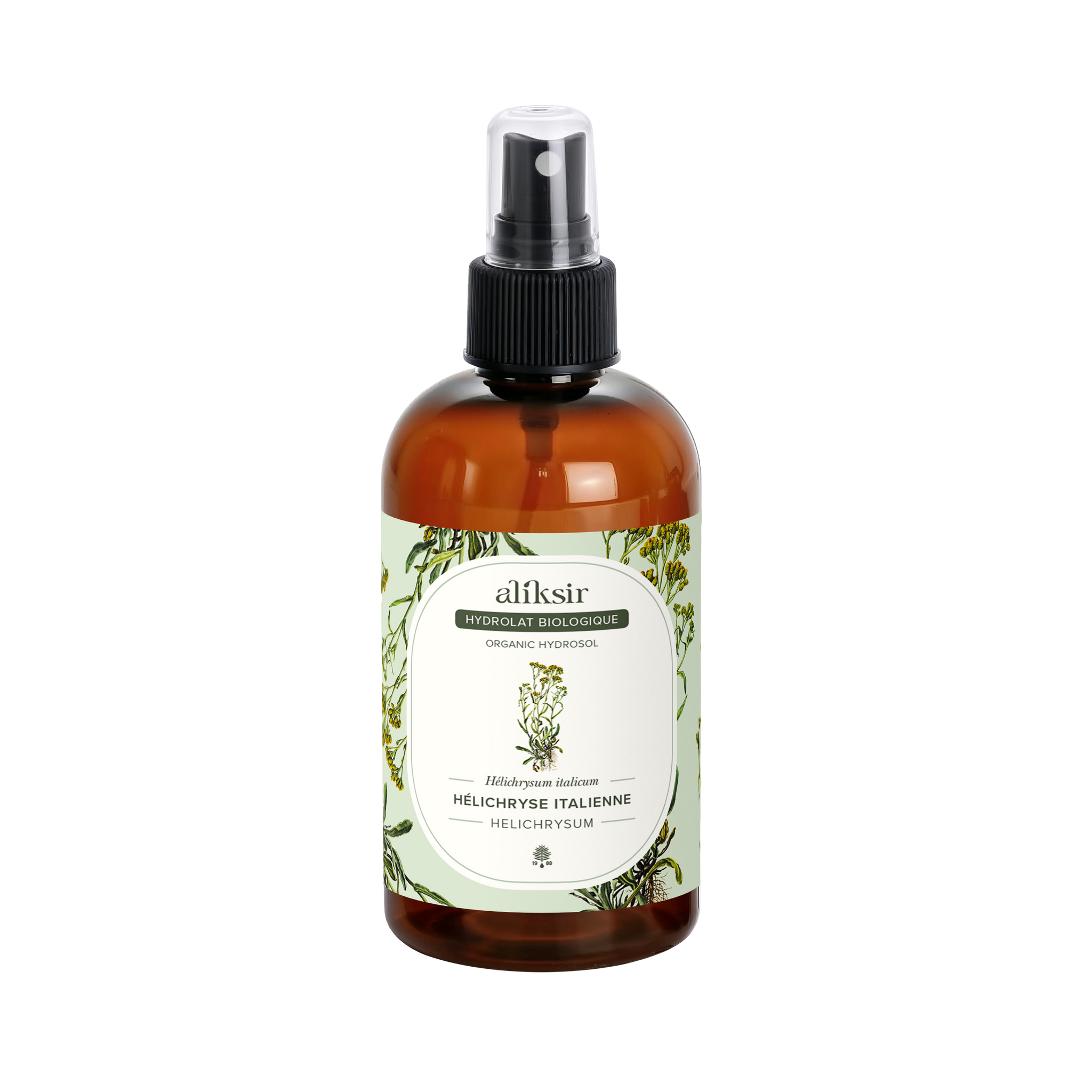 Italian helichrysum (Helichrysum italicum) - Organic hydrosol