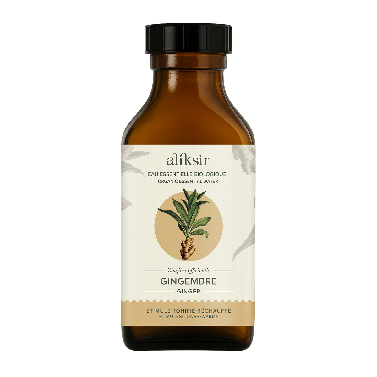Ginger (Zingiber officinale) - Organic essential water 