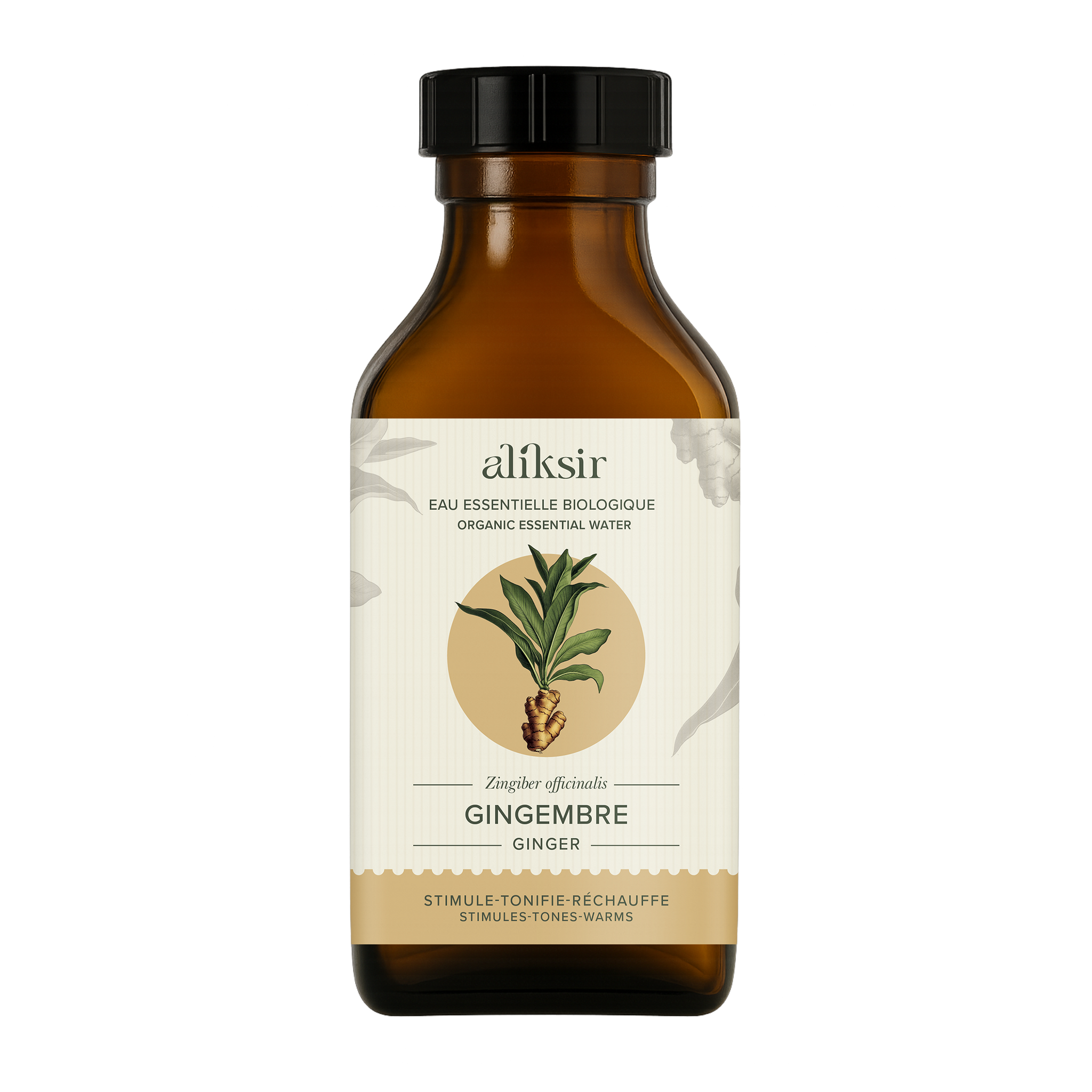 Gingembre (Zingiber officinale) - Eau essentielle bio