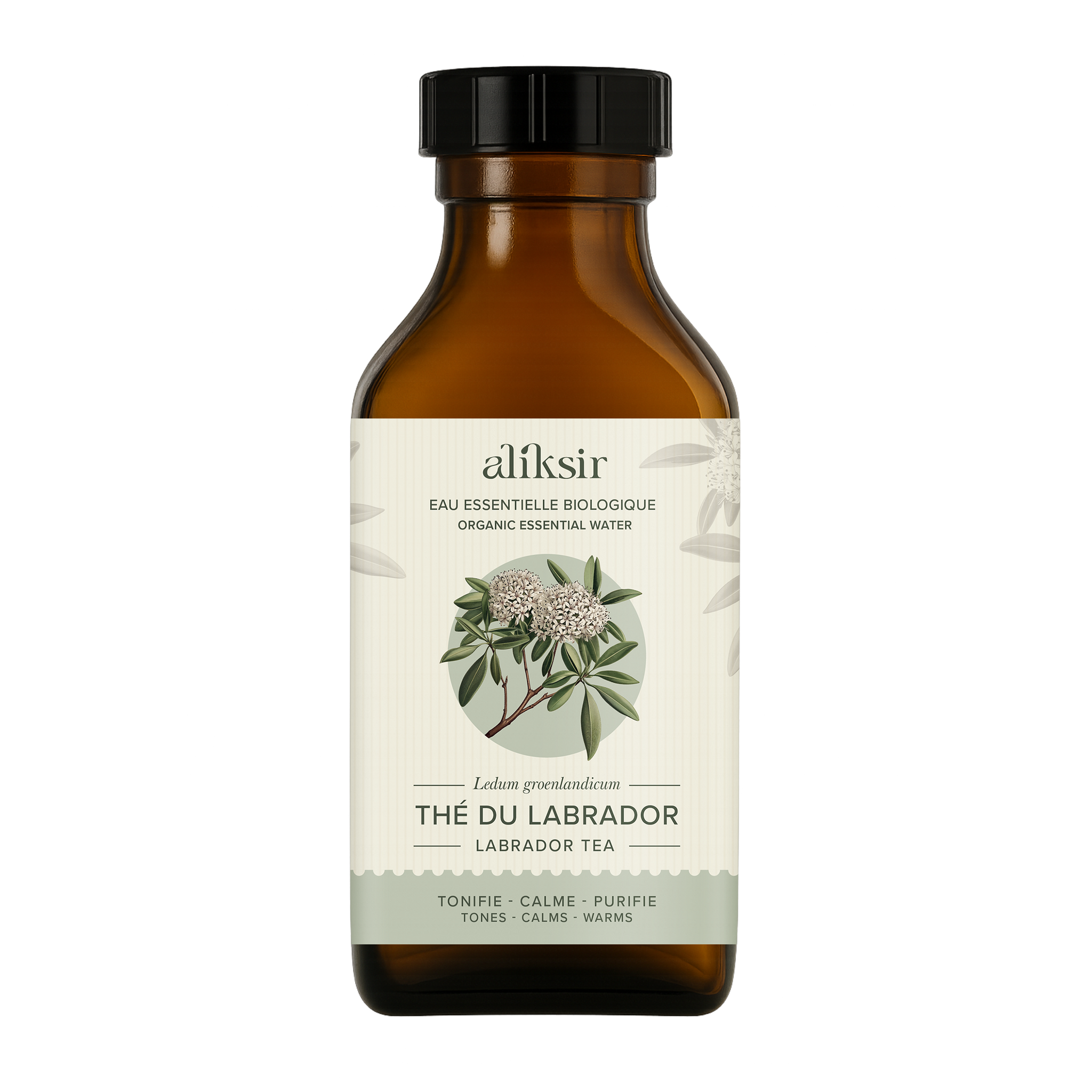 Labrador Tea (Ledum groenlandicum)-Organic Essential Water 