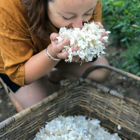 17 octobre 2026 | Éveillez vos sens : Atelier Parfum Naturel | Québec
