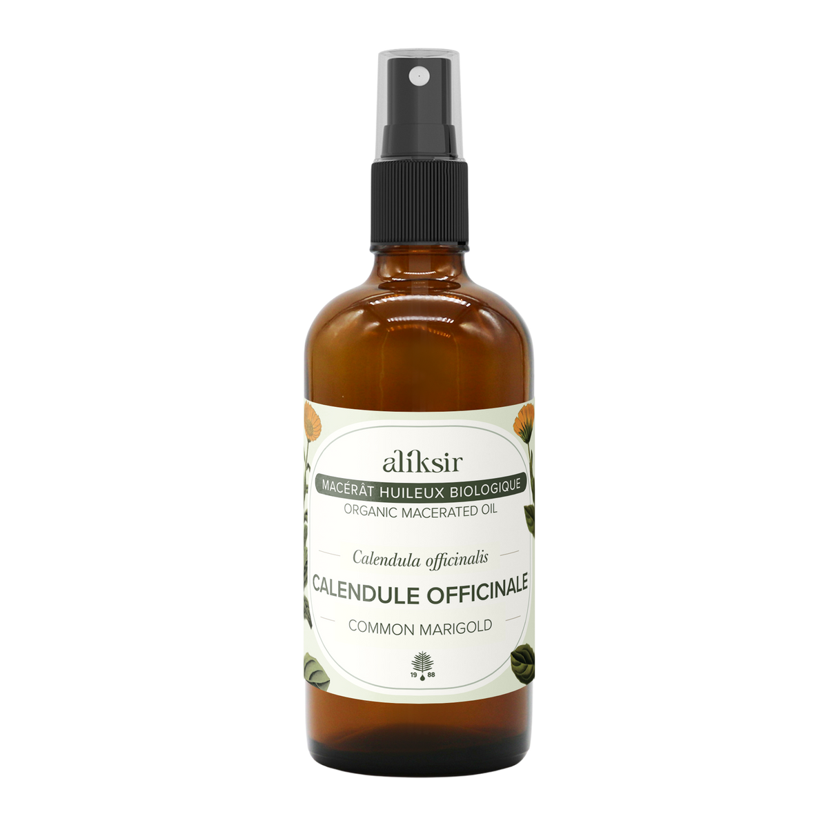 Calendula (Calendula officinalis) - Organic Oily Macerate