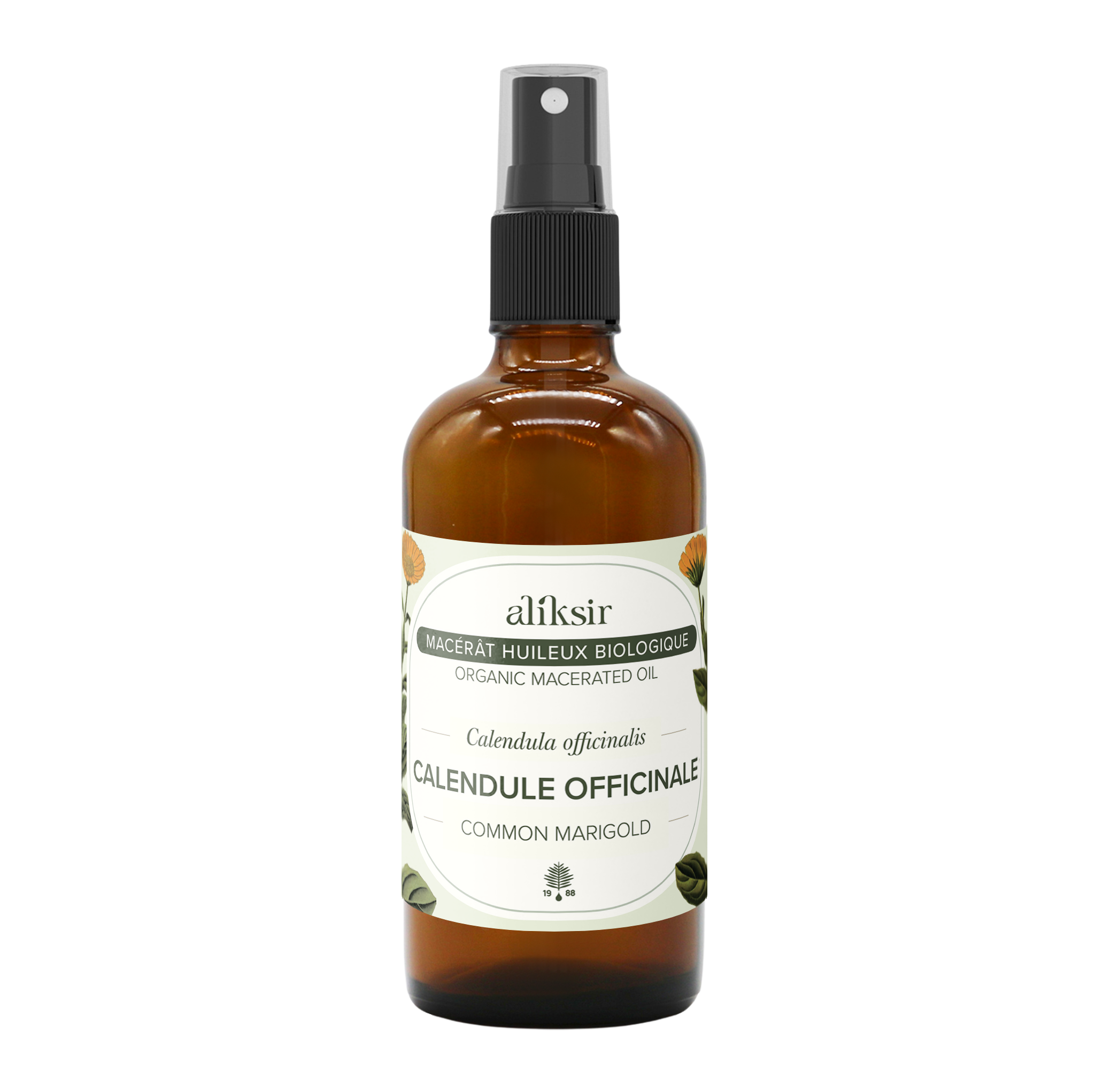Calendule (Calendula officinalis) - Macérât huileux bio