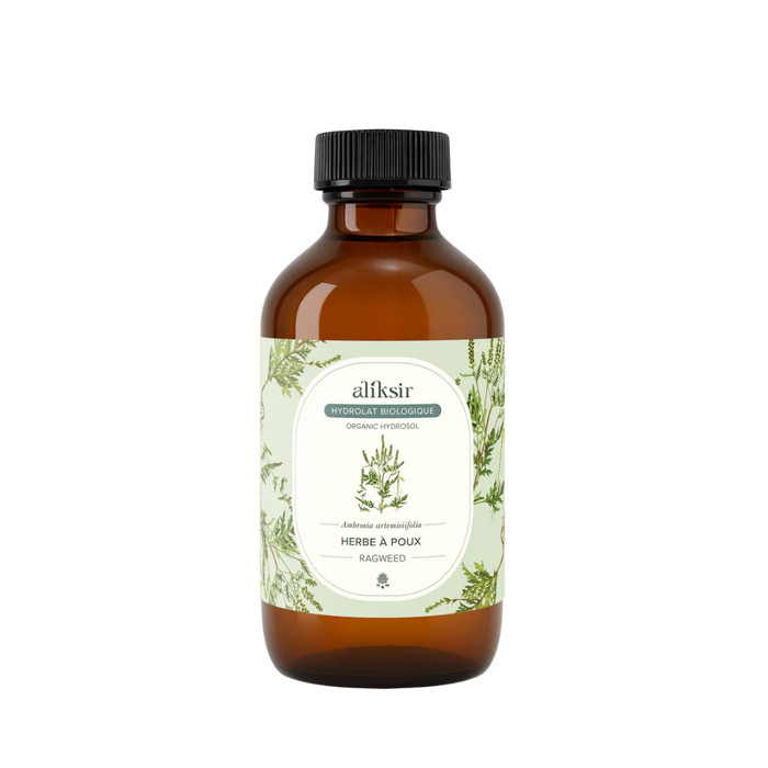 Herbe à poux (Ambrosia artemissiifolia) - Hydrolat bio