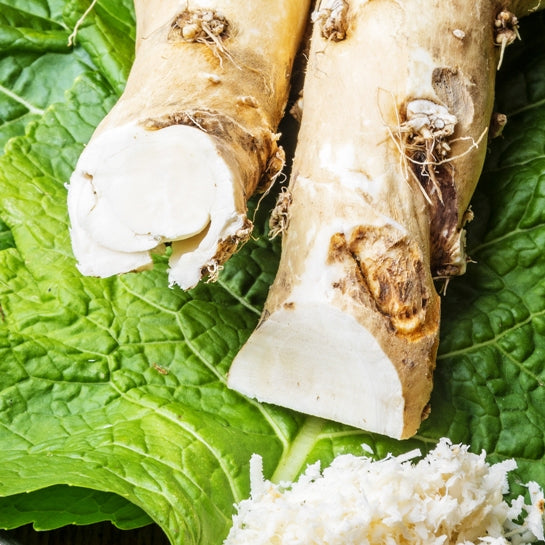 Horseradish (Armoracia lapathifolia) - Organic Gourmet Oil