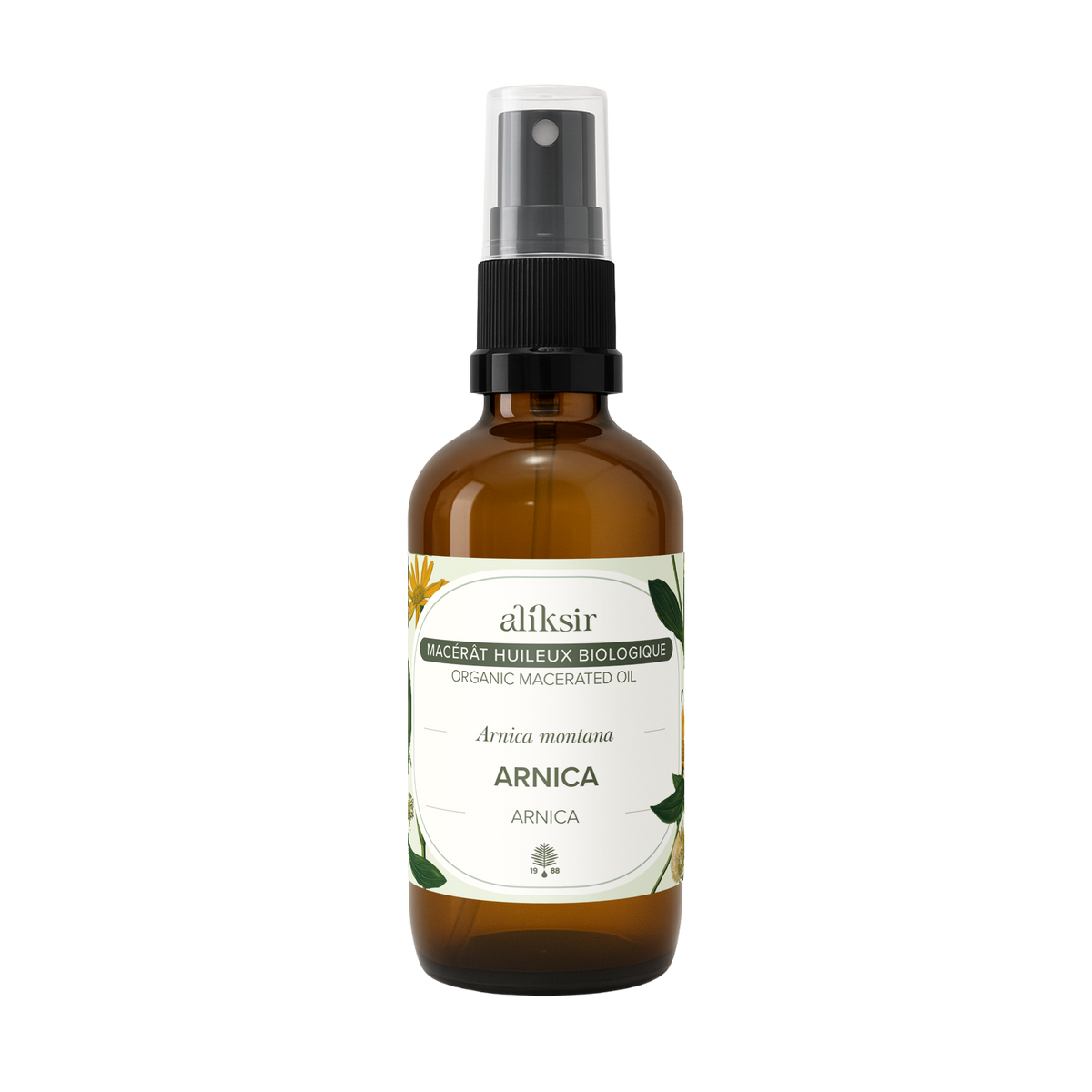 Arnica (Arnica montana) - Macérat huileux bio