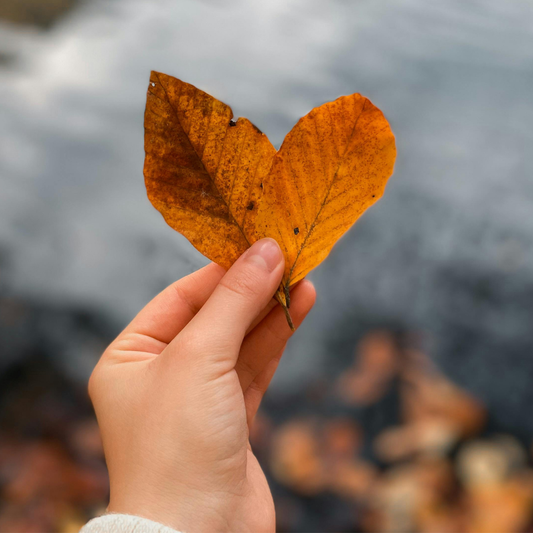 October 18, 2026 | Workshop: Autumn without fatigue: essential oils | Quebec